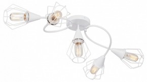 Потолочная люстра Vitaluce V3037 V3037-0/5PL в Новом Уренгое - novyy-urengoy.mebel24.online | фото