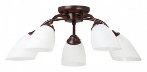 Потолочная люстра Vitaluce V3184 V3252/5PL в Новом Уренгое - novyy-urengoy.mebel24.online | фото