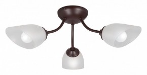 Потолочная люстра Vitaluce V3184 V3404/3PL в Новом Уренгое - novyy-urengoy.mebel24.online | фото