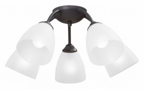 Потолочная люстра Vitaluce V3184 V3737-2/5PL в Новом Уренгое - novyy-urengoy.mebel24.online | фото