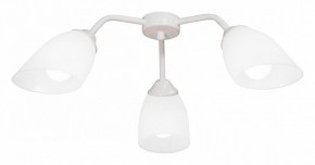 Потолочная люстра Vitaluce V31950 V31950/3PL в Новом Уренгое - novyy-urengoy.mebel24.online | фото