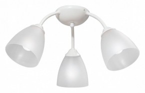 Потолочная люстра Vitaluce V3737 V3737-0/3PL в Новом Уренгое - novyy-urengoy.mebel24.online | фото