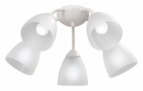 Потолочная люстра Vitaluce V3737 V3737-0/5PL в Новом Уренгое - novyy-urengoy.mebel24.online | фото