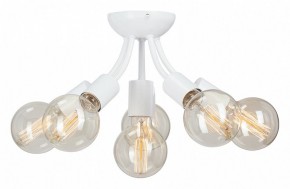 Потолочная люстра Vitaluce V3927 V3927-0/6PL в Новом Уренгое - novyy-urengoy.mebel24.online | фото