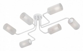 Потолочная люстра Vitaluce V4310 V4310-0/6PL в Новом Уренгое - novyy-urengoy.mebel24.online | фото