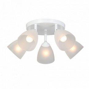 Потолочная люстра Vitaluce V4355 V4355-0/5PL в Новом Уренгое - novyy-urengoy.mebel24.online | фото 2