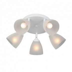 Потолочная люстра Vitaluce V4355 V4355-0/5PL в Новом Уренгое - novyy-urengoy.mebel24.online | фото 3
