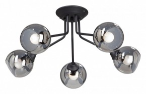 Потолочная люстра Vitaluce  V4724-1/5PL в Новом Уренгое - novyy-urengoy.mebel24.online | фото