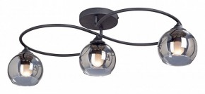 Потолочная люстра Vitaluce  V4965-1/3PL в Новом Уренгое - novyy-urengoy.mebel24.online | фото