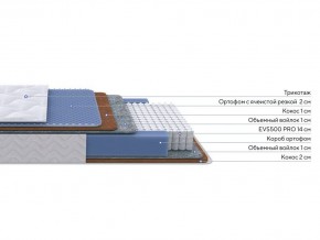 PROxSON Матрас Active Duo M/F (Ткань Трикотаж Эко) 80x200 в Новом Уренгое - novyy-urengoy.mebel24.online | фото 2