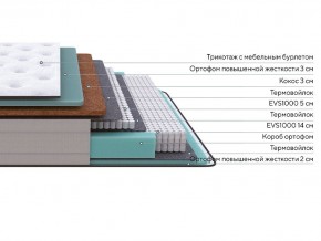 PROxSON Матрас Elysium Firm (Трикотаж Spiral-RT) 160x190 в Новом Уренгое - novyy-urengoy.mebel24.online | фото 3
