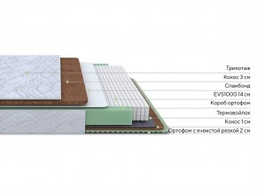 PROxSON Матрас Green Duo M/F (Tricotage Dream) 180x200 в Новом Уренгое - novyy-urengoy.mebel24.online | фото 2