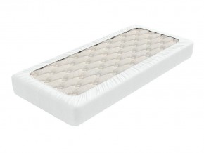 PROxSON Защитный чехол Aqua Save Light S (Ткань влагостойкая Tencel Jersey) 180x200 в Новом Уренгое - novyy-urengoy.mebel24.online | фото 2