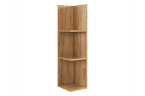 РИЧ Полка навесная 2 в Новом Уренгое - novyy-urengoy.mebel24.online | фото 4