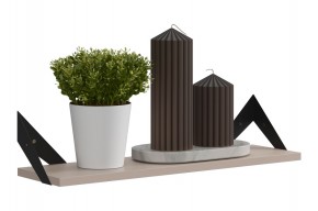 РИЧ Полка навесная в Новом Уренгое - novyy-urengoy.mebel24.online | фото 3