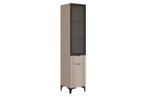 РИЧ Шкаф однодверный со стеклом в Новом Уренгое - novyy-urengoy.mebel24.online | фото 1