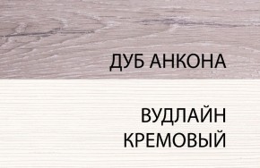 Шкаф 1DZ, OLIVIA, цвет вудлайн крем/дуб анкона в Новом Уренгое - novyy-urengoy.mebel24.online | фото 3