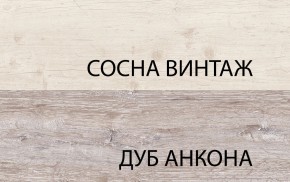 Шкаф 2DG2S, MONAKO, цвет Сосна винтаж/дуб анкона в Новом Уренгое - novyy-urengoy.mebel24.online | фото