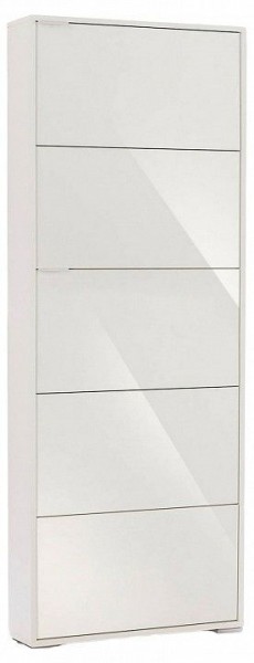 Шкаф для обуви Viva-5S в Новом Уренгое - novyy-urengoy.mebel24.online | фото