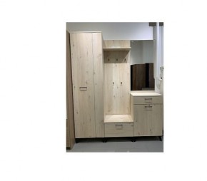 Шкаф для одежды 2-х дверный София 1 в Новом Уренгое - novyy-urengoy.mebel24.online | фото 6
