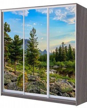 Шкаф-купе ХИТ 22-20/2-777 ПРИРОДА в Новом Уренгое - novyy-urengoy.mebel24.online | фото