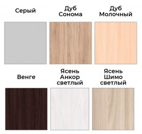 Шкаф-купе ХИТ 22-4-14-11 (420) в Новом Уренгое - novyy-urengoy.mebel24.online | фото 5