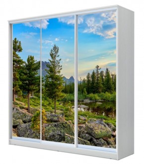 Шкаф-купе ХИТ 22-4-18-777 (420) в Новом Уренгое - novyy-urengoy.mebel24.online | фото 1