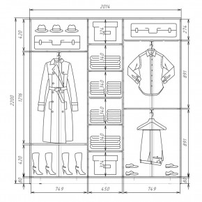 Шкаф-купе ХИТ 22-4-20-222 (420) в Новом Уренгое - novyy-urengoy.mebel24.online | фото 2