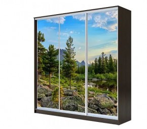 Шкаф-купе ХИТ 22-4-20-777 (420) в Новом Уренгое - novyy-urengoy.mebel24.online | фото