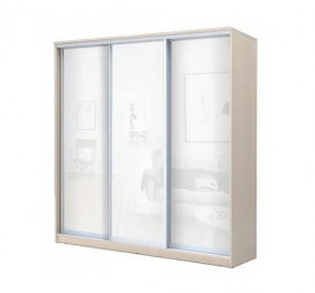 Шкаф-купе ХИТ 22-4-20-888 (420) в Новом Уренгое - novyy-urengoy.mebel24.online | фото 4