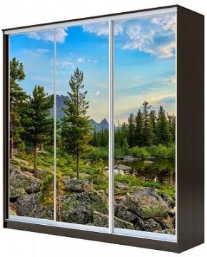 Шкаф-купе ХИТ 23-20-777 ПРИРОДА в Новом Уренгое - novyy-urengoy.mebel24.online | фото