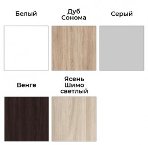 Шкаф-купе ХИТ 23-24/2-7777 (620) в Новом Уренгое - novyy-urengoy.mebel24.online | фото 2