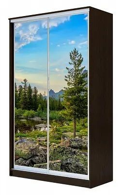 Шкаф-купе ХИТ 23-4-12/2-77 ПРИРОДА в Новом Уренгое - novyy-urengoy.mebel24.online | фото