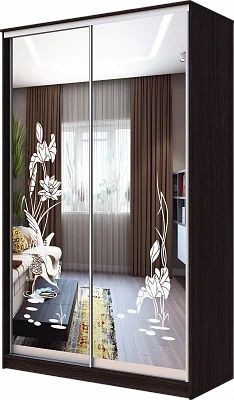 Шкаф-купе ХИТ 23-4-12-66 ЦАПЛИ в Новом Уренгое - novyy-urengoy.mebel24.online | фото