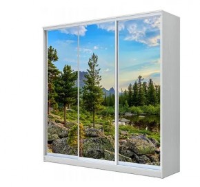 Шкаф-купе ХИТ 23-4-20-777 (420) в Новом Уренгое - novyy-urengoy.mebel24.online | фото