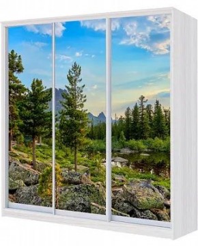 Шкаф-купе ХИТ 24-18/2-777 ПРИРОДА в Новом Уренгое - novyy-urengoy.mebel24.online | фото