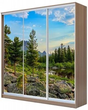 Шкаф-купе ХИТ 24-20/2-777 ПРИРОДА в Новом Уренгое - novyy-urengoy.mebel24.online | фото