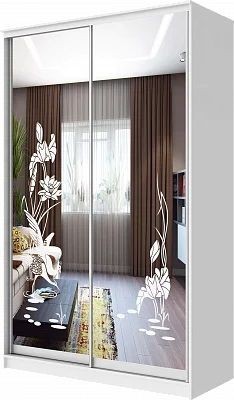 Шкаф-купе ХИТ 24-4-12-66 ЦАПЛИ в Новом Уренгое - novyy-urengoy.mebel24.online | фото