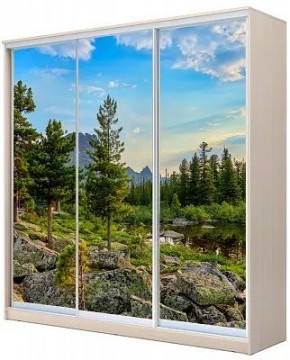 Шкаф-купе ХИТ 24-4-20-777 ПРИРОДА в Новом Уренгое - novyy-urengoy.mebel24.online | фото