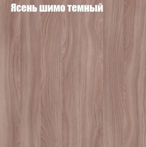 Шкаф-купе «ТАНДЕМ» 3-х дверный в алюминиевом профиле (Дверь ЛДСП+ЛДСП+Z) 2400/h2200 в Новом Уренгое - novyy-urengoy.mebel24.online | фото 6
