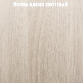 Шкаф-купе «ТАНДЕМ» 3-х дверный в алюминиевом профиле (Дверь ЛДСП+Z+Z) 2400/h2200 в Новом Уренгое - novyy-urengoy.mebel24.online | фото 6