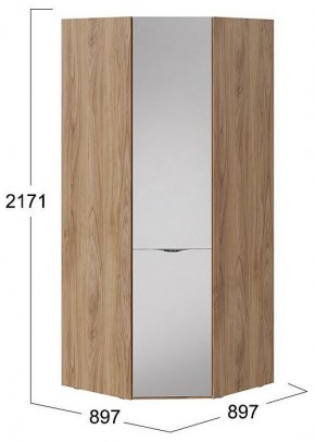 Шкаф платяной Глосс СМ-319.07.312 в Новом Уренгое - novyy-urengoy.mebel24.online | фото 4