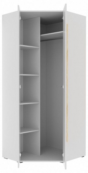 Шкаф платяной Куба 1725.М3 в Новом Уренгое - novyy-urengoy.mebel24.online | фото 11