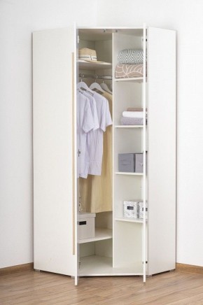 Шкаф платяной Куба 1725.М3 в Новом Уренгое - novyy-urengoy.mebel24.online | фото 8