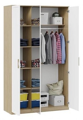 Шкаф платяной Сэнди в Новом Уренгое - novyy-urengoy.mebel24.online | фото 3