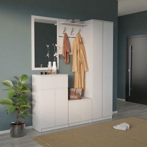 Шкаф платяной ШО-4 в Новом Уренгое - novyy-urengoy.mebel24.online | фото 6
