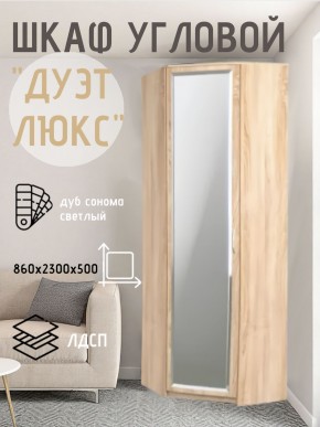 Шкаф угловой Дуэт Люкс с зеркалом в Новом Уренгое - novyy-urengoy.mebel24.online | фото