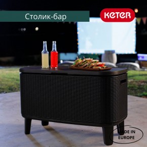 Стол Беви Бар (Bevy Bar Large Cool Bar), графит в Новом Уренгое - novyy-urengoy.mebel24.online | фото 4