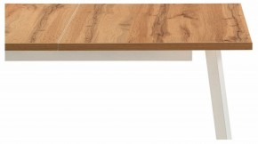 Стол обеденный Колон Лофт в Новом Уренгое - novyy-urengoy.mebel24.online | фото 6
