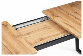 Стол обеденный Лота Лофт в Новом Уренгое - novyy-urengoy.mebel24.online | фото 9